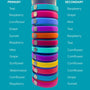 SPD Waterproof Dog Collars