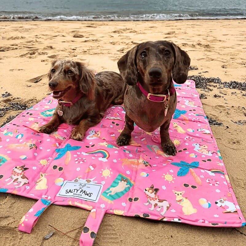 Summer Days Settle Mat Portable Dog Travel Training Mat