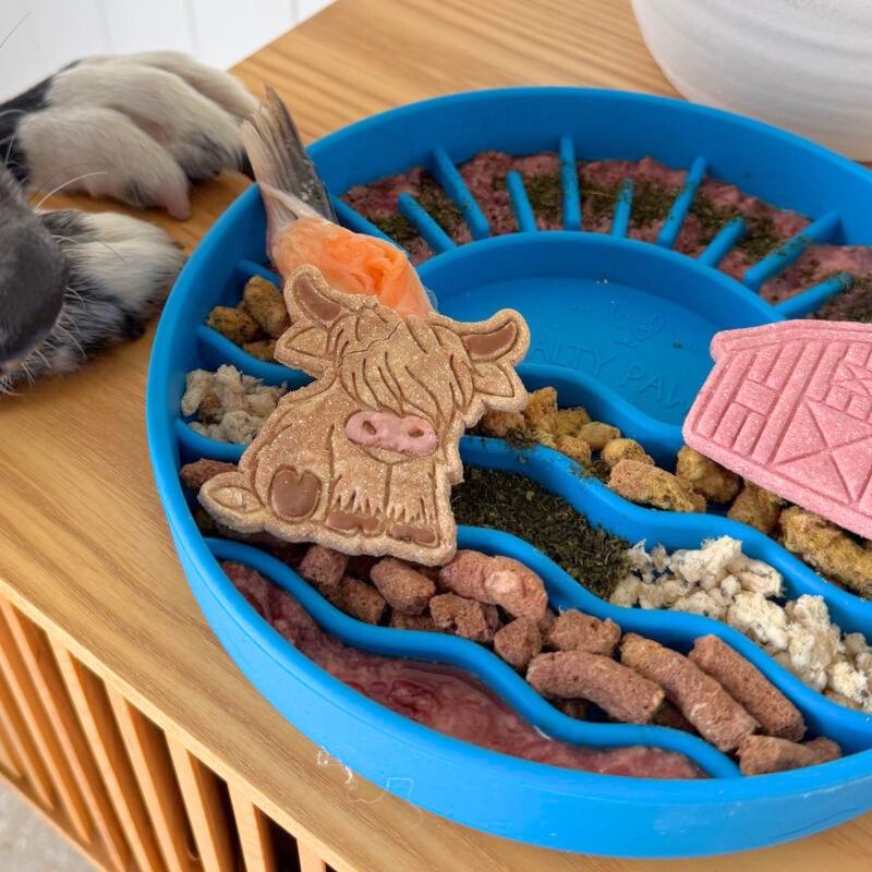 Sunset Slow Feeder in blue loaded with enrichment treats for dogs