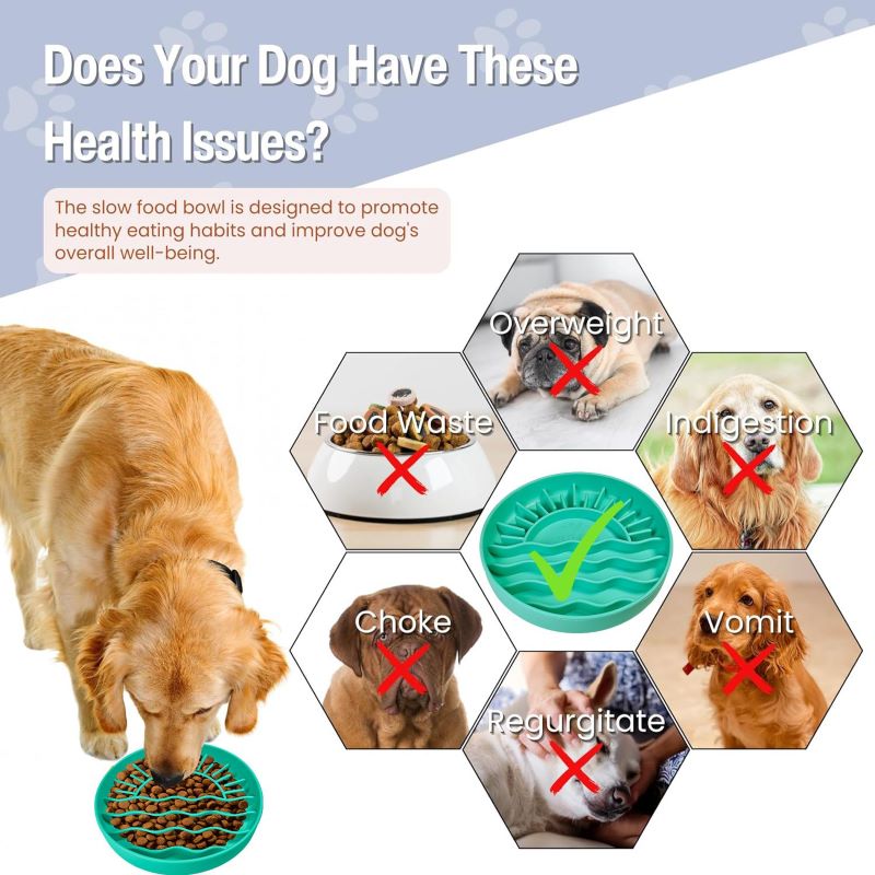 Infographic showing how the Sunset Slow Feeder supports healthy eating and reduces bloat indigestion and food waste in dogs
