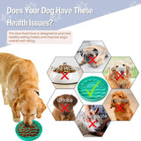 Infographic showing how the Sunset Slow Feeder supports healthy eating and reduces bloat indigestion and food waste in dogs