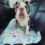 dog travel mat