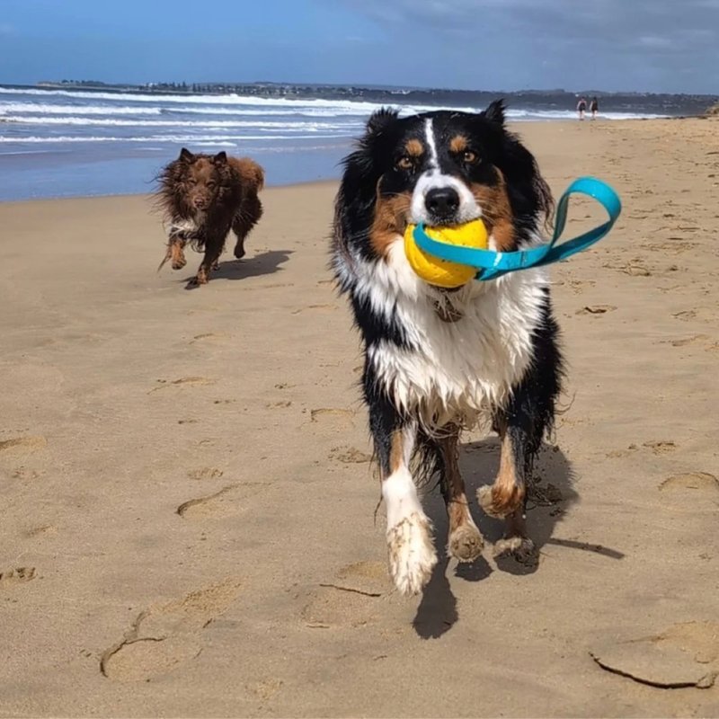 Tug'n'Toss