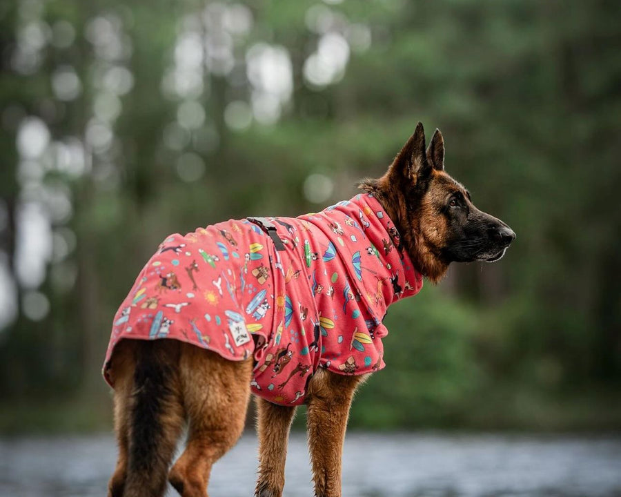 dog drying coat towel robe on German Shepherd