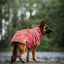 dog drying coat towel robe on German Shepherd