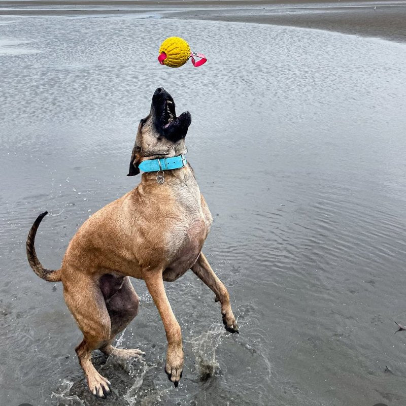 Tug'n'Toss