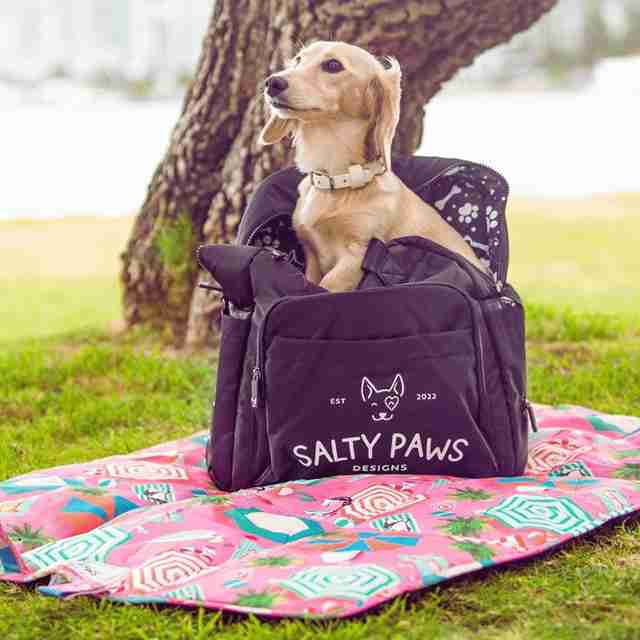 dog parent bag