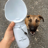 dog travel bottle