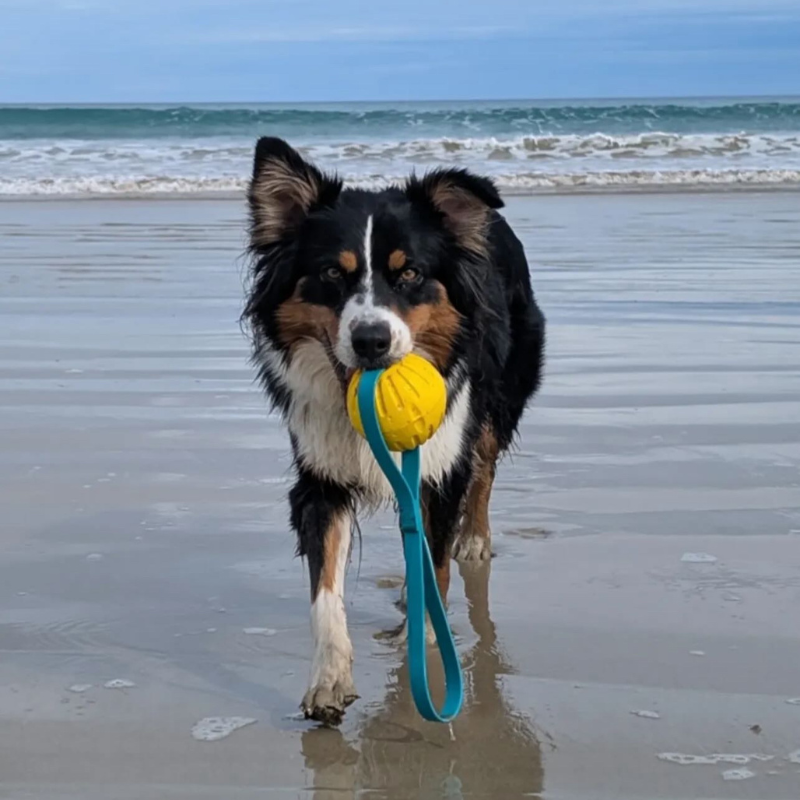 Tug'n'Toss