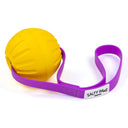  Purple Handle  - Yellow Ball